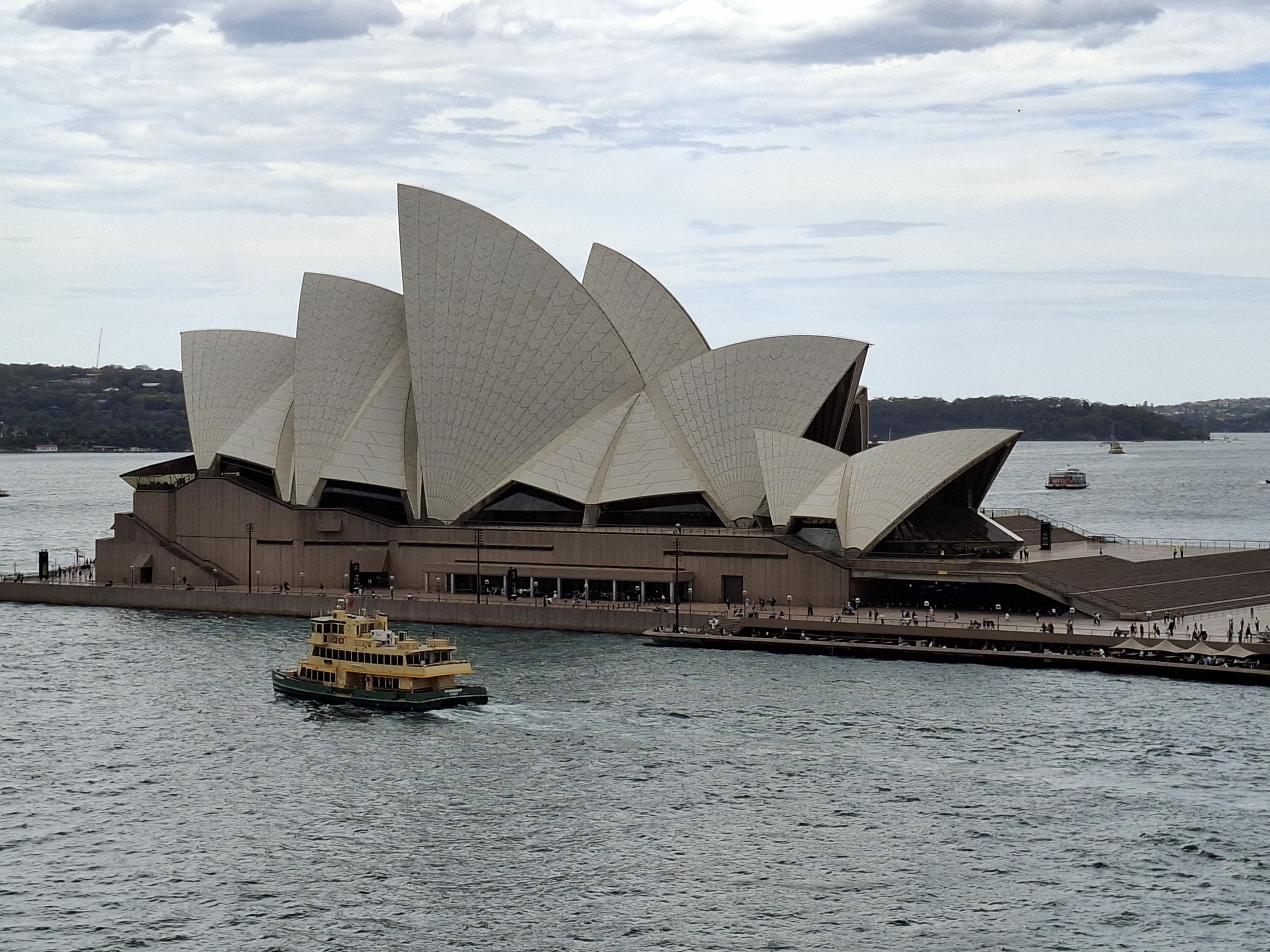 Cruise Happiest Sight